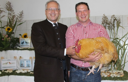 2015_OrpingtonSonderschau2 2015_OrpingtonSonderschau2