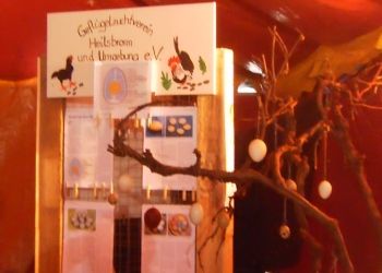 2017_BioDiva_02 2017_BioDiva_02
