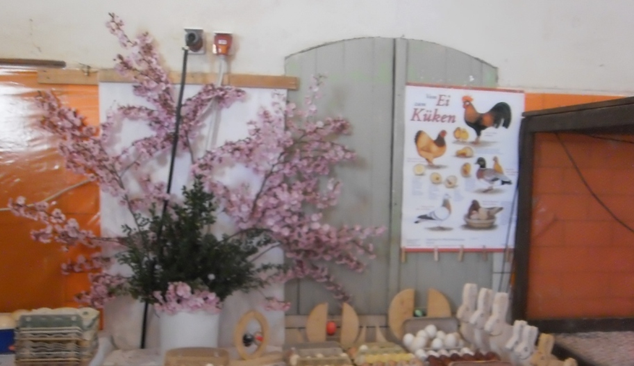 2019_Anwanden03 2019_Anwanden03